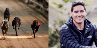 #MIRADANACIONAL Denuncian amenazas y amedrentamientos en contra de conductor de tv, tras manifestarse contra las carreras de galgos