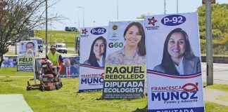 #TENDENCIAS Hacen llamado a candidatos para dar una segunda oportunidad a las palomas utilizadas en campaña
