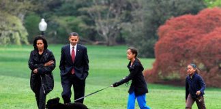 #MUNDO Muere Bo, uno de los perros de la familia Obama