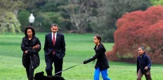 #MUNDO Muere Bo, uno de los perros de la familia Obama