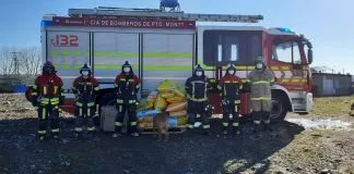 #LOSLAGOS Voluntarios de Bomberos en Puerto Montt donaron ropa y alimento para los animales del «Albergue de Perros Abandonados»