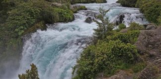 #LAARAUCANIA Organizaciones animalistas y medio ambientalistas rechazan proyecto de la Central de paso El Rincón, por su impacto en la zona