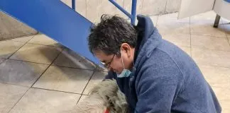 #SANTIAGO Perrito perdido que estuvo a punto de morir ahogado, pudo reencontrarse con su humano