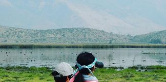 #MIRADANACIONAL Humedal de Batuco y su polémica nominación como santuario de la naturaleza