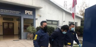 #OHIGGINS Detuvieron a sujeto que mantenía en cautiverio a un zorro chilla en Las Cabras