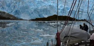 #MIRADANACIONAL Estado de Salud de mar de Chile fue analizado por científicos del país y Francia