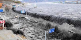 #TENDENCIAS Crean aplicación para celulares que permite identificar zonas de inundación por tsunami