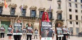 #ESPAÑA Activistas alzan la voz contra el regreso de la tauromaquia en Alicante