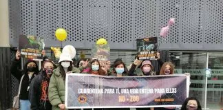 #VALPARAISO Activistas alzaron su voz para pedir la reconversión del Zoo de Quilpué