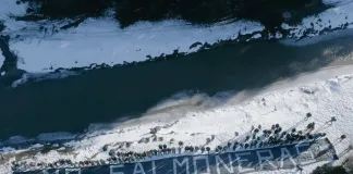 #MUNDO Tierra del Fuego logró poner los ojos del mundo en Argentina al decir NO a la salmonicultura