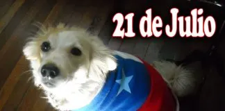 #TENDENCIAS Hoy celebramos el Día mundial del perro