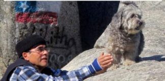 #LAARAUCANIA Perrito fue enterrado junto a su humano