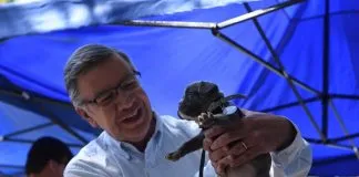 #MIRADANACIONAL Lavín presenta propuestas a favor de los animales en el contexto de su candidatura presidencial