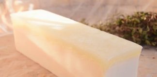 #TENDENCIAS Emprendedores chilenos apuestan por shampoo y acondicionadores en barras para disminuir el uso de plástico