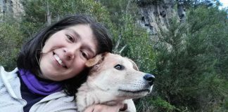 #LAARAUCANIA Perrito que estaba en hotel canino en Pucón apareció muerto