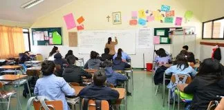 #MIRADANACIONAL Aprueban proyecto para incluir en el currículo escolar temáticas sobre cambio climático, bienestar animal y políticas alimentarias