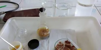 #TENDENCIAS Estudian composición bioquímica y perfil de ácidos grasos del pez espada en las costas chilenas