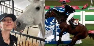 #MUNDO Actriz de Big Bang Theory quiere adoptar caballo que fue maltratado en los recientes juegos olímpicos