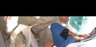 #MEXICO Médico con compromiso social ayudó a perrito enfermo a petición de un anciano