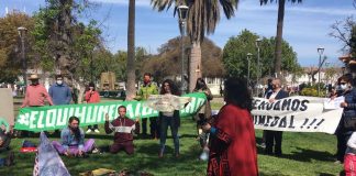 #COQUIMBO Denuncian que destrucción del Humedal de la ribera del Río Elqui se pudo evitar