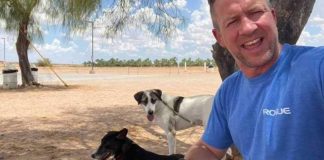 #MUNDO Fundador de refugio de animales se niega a salir de Afganistán sin sus 200 perros