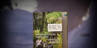 #MAGALLANES Hallazgos paleontológicos y olas de calor en Antártica destacan en nuevo número del BACh