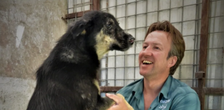 Finalmente se logró la evacuación de los animales del refugio Noward en Agfanistán