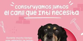 #CAMPAÑAS Ayudemos a Inti a tener una vida mejor