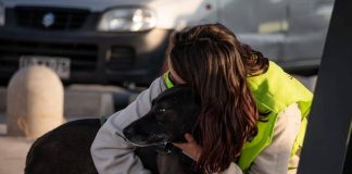 ¡Ayuda a Pro Animal Huellas de Santiago a ayudar a los animales, aportando para la compra de latas de jaurel destinadas a los canes !