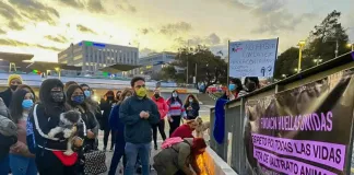 Realizaron emotivo velatón tras denuncias de faenamientos de perros en #Maipú