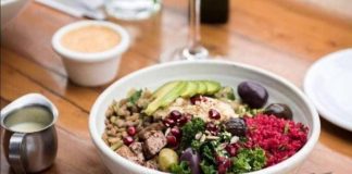 #Mundosincrueldad Programa Opción Vegana retoma funciones y planea expandir el veganismo en Latinoamérica