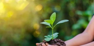 Experto entrega 7 consejos para tener una vida más sustentable