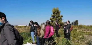 Analizarán calidad de agua y suelo del Humedal Vasco da Gama en Hualpén
