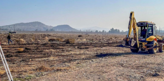 Comienza a tomar forma el proyecto de santuario para animales encabezado por Eliana Albasetti