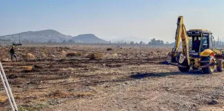 Comienza a tomar forma el proyecto de santuario para animales encabezado por Eliana Albasetti