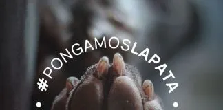 «Pongamos la pata y digamos no a las carreras de perros», la nueva campaña de la Fundación Galgos Chile