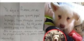 #TENDENCIAS Niño que dejó a su perrito en un albergue porque su papá lo maltrataba, le sigue escribiendo al can prometiendo que lo irá a buscar