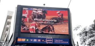 #Estonoesdeporte, la campaña contra el rodeo se tomó las calles de Santiago y Viña del Mar