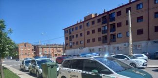 #ESPAÑA Un detenido y tres investigados por cortar las orejas y el rabo a 107 animales