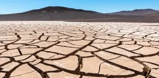 Agroclimatóloga UOH explica el impacto de un año seco en la agricultura y la ganadería