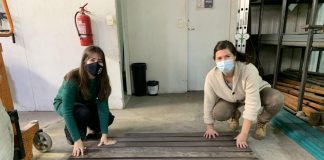 Inauguran primera pasarela retráctil fabricada con plástico reciclado del país en Pichilemu