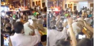 Perrito perdido es recibido en su pueblo como toda una celebridad en #Colombia