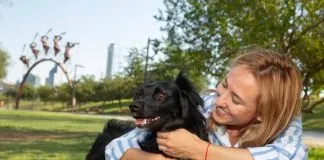 Estudio comprueba que los perros «lloran» de alegría al reunirse con sus humanos