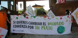 Día Internacional Contra el Cambio Climático: dos campañas buscan desacelerar su impacto