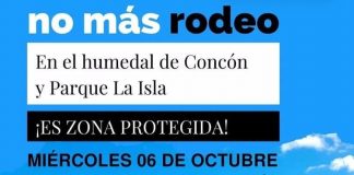 Convocan a manifestarse afuera del Municipio de Concón contra el desarrollo de rodeo en el humedal de la comuna