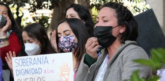 Convención Constitucional partirá la semana votando si se declara en estado de Emergencia Climática y Ecológica