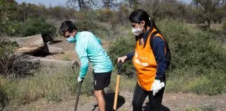 Plantaron 250 árboles de especies nativas en Peñalolén para combatir el cambio climático