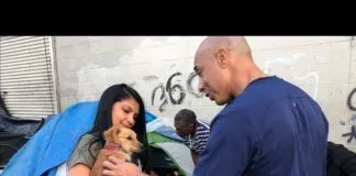 Veterinario lleva 10 años atendiendo gratis a animales sin hogar