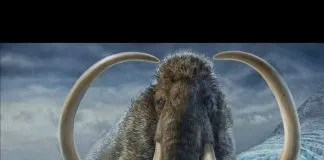 Kik, el mamut que dio la vuelta al mundo dos veces