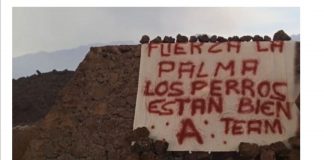 Al parecer rescataron a los perros que estaban atrapados entre la lava en la Isla La Palma de #España